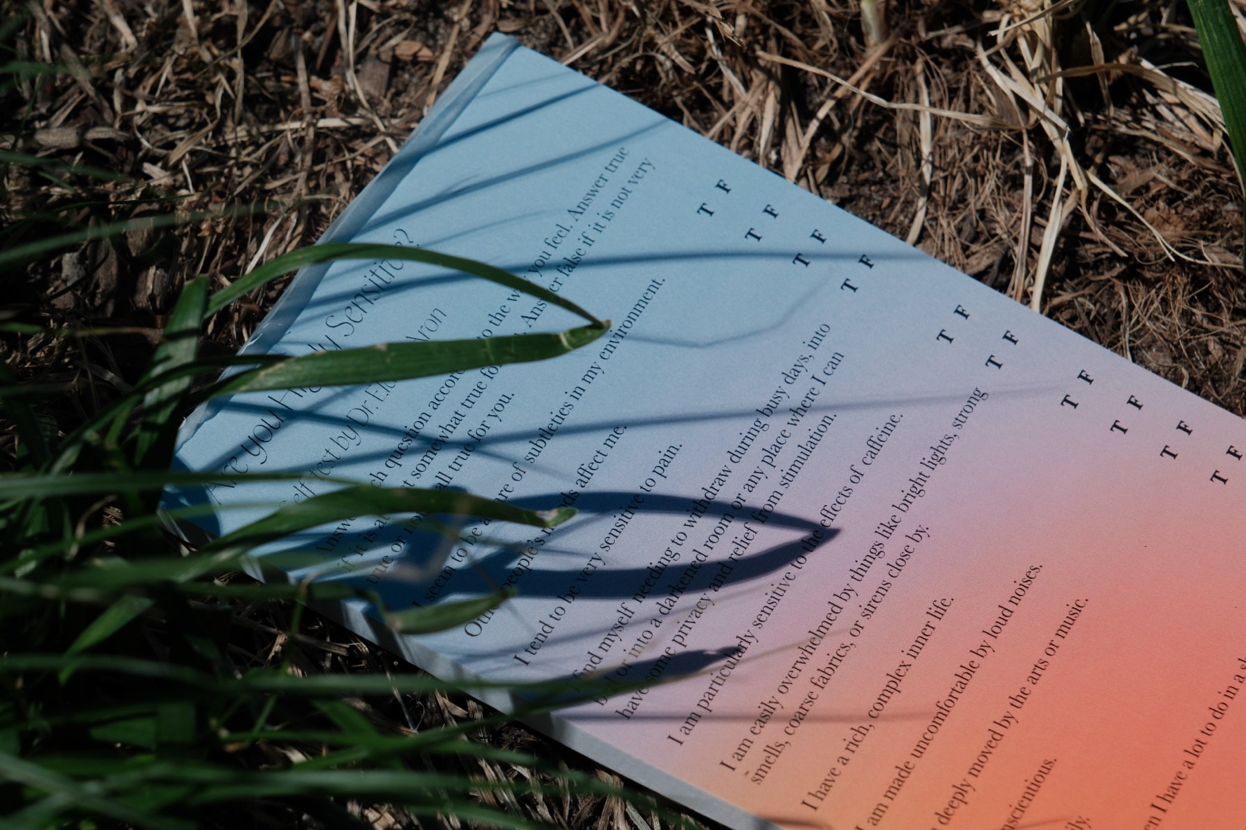 Thesis 4